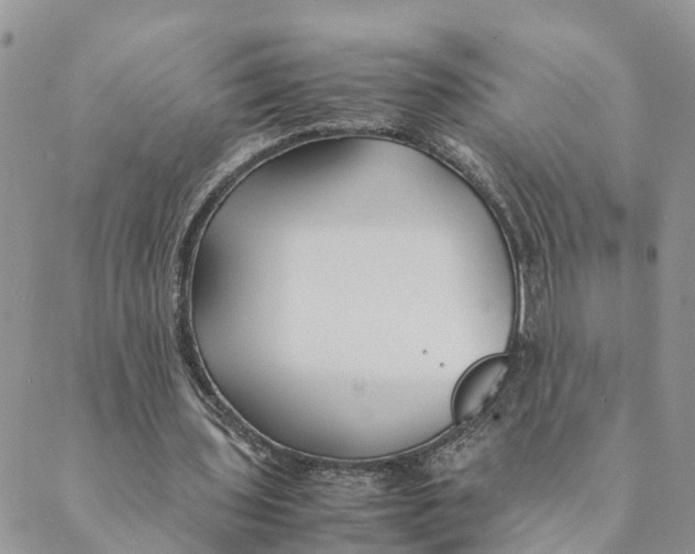 X0000089360435200707061053