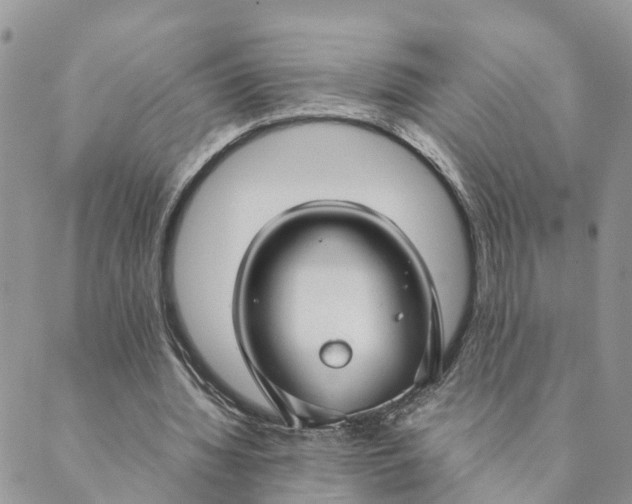 X0000089360436200707061053