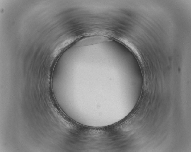 X0000089360437200707061053