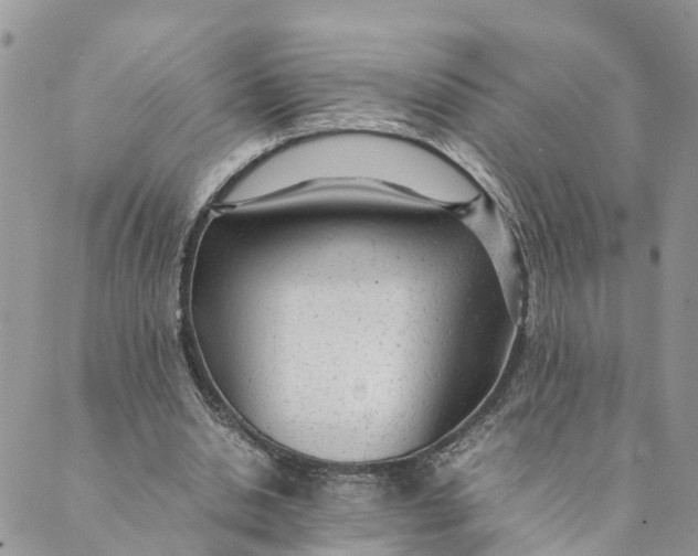 X0000089360438200707061053