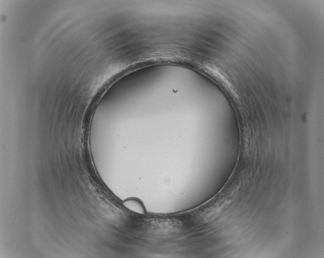 X0000089360439200707061053