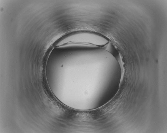 X0000089360440200707061053