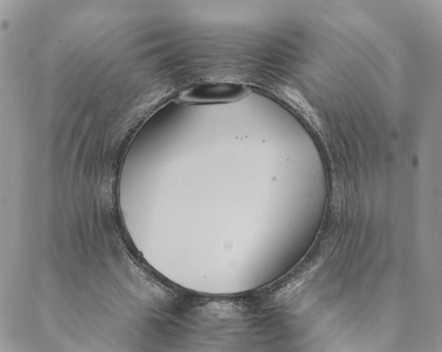 X0000089360441200707061053