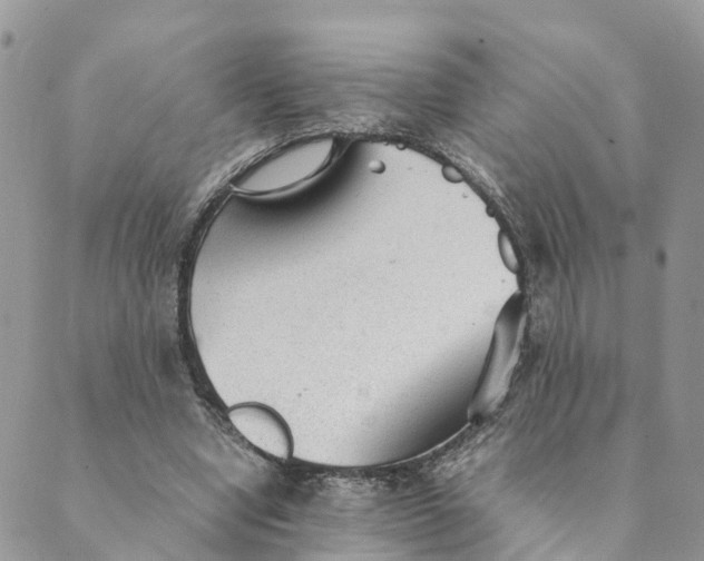 X0000089360442200707061053