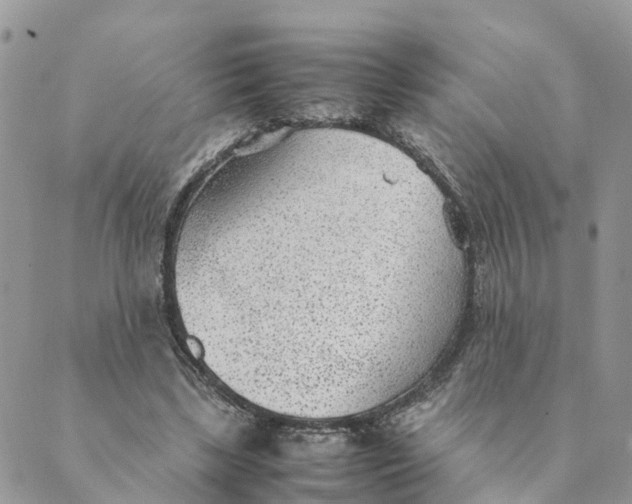 X0000089360443200707061053