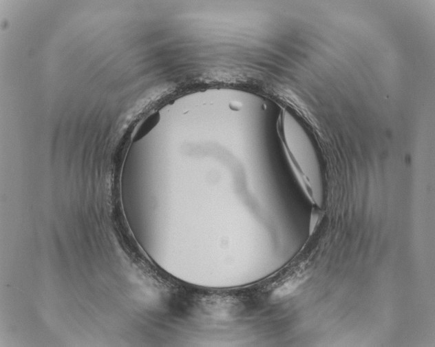 X0000089360444200707061053