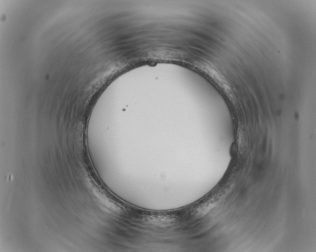 X0000089360445200707061053