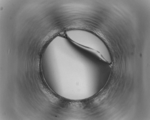 X0000089360446200707061053