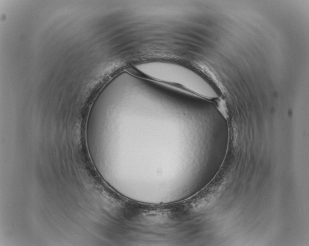 X0000089360447200707061053