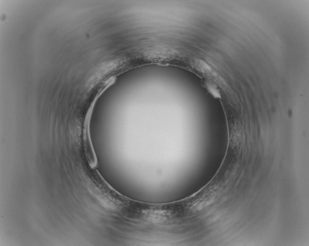 X0000089360448200707061053