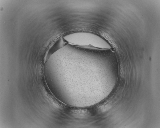 X0000089360449200707061053