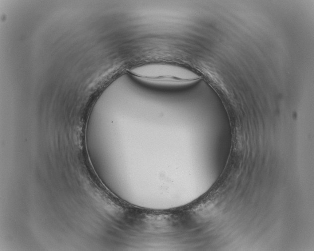 X0000089360450200707061053