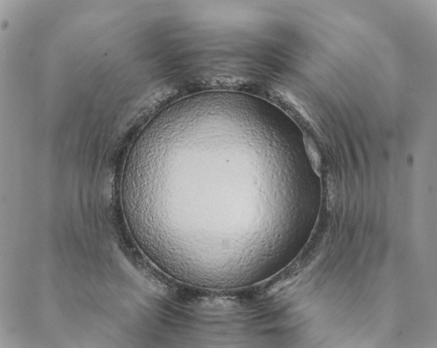 X0000089360451200707061053