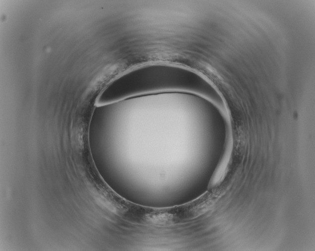 X0000089360452200707061053