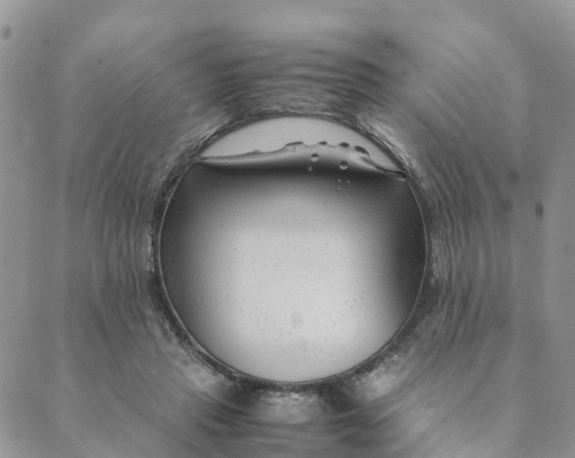 X0000089360453200707061053