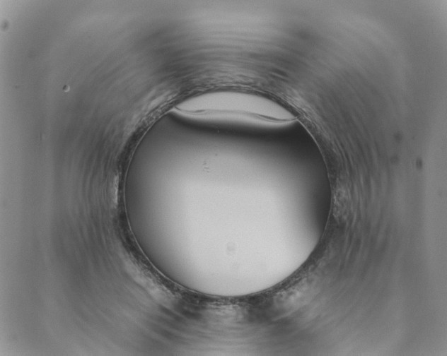 X0000089360454200707061053