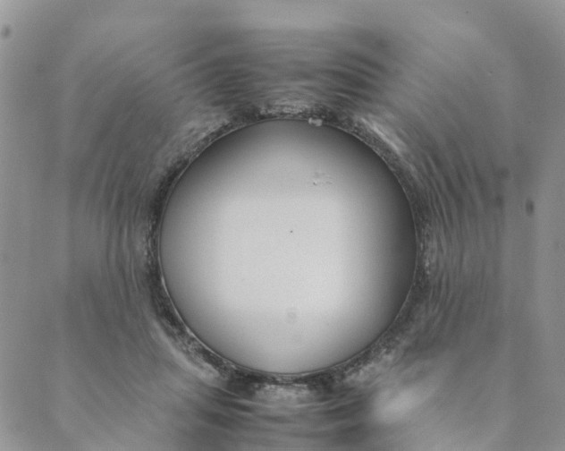 X0000089360455200707061053