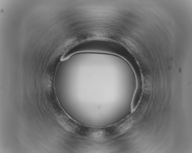 X0000089360456200707061053