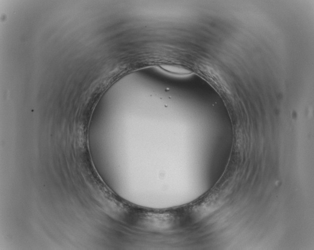 X0000089360457200707061053