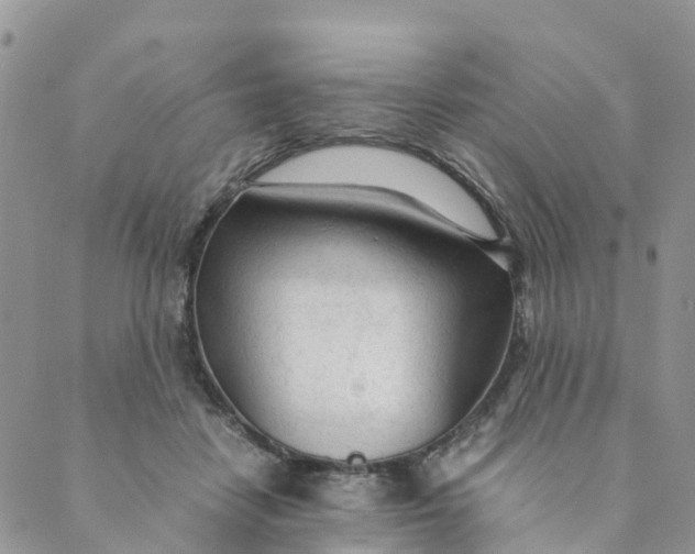 X0000089360458200707061053