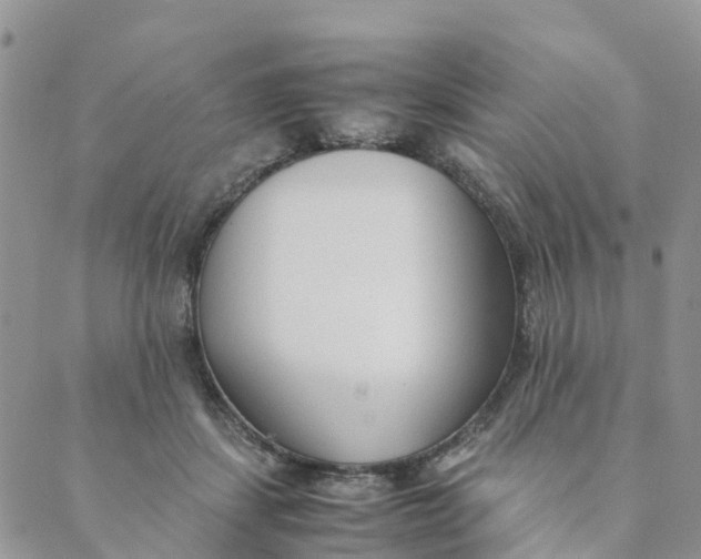 X0000089360459200707061053