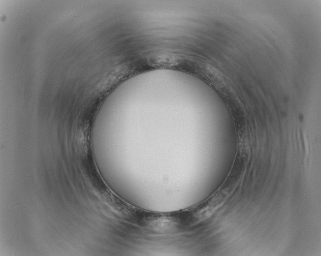 X0000089360460200707061053