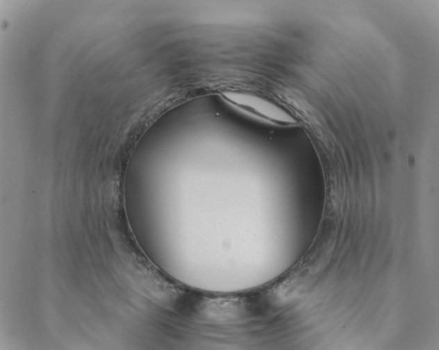 X0000089360461200707061053