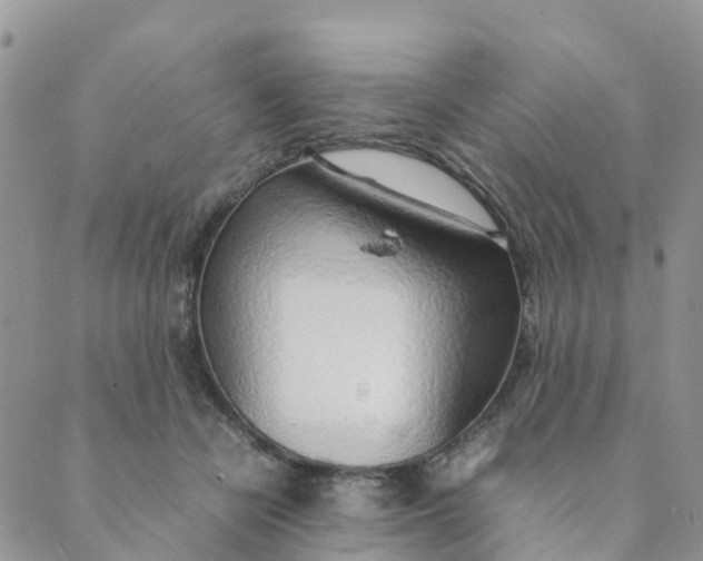 X0000089360462200707061054