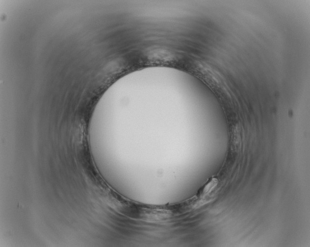 X0000089360463200707061054