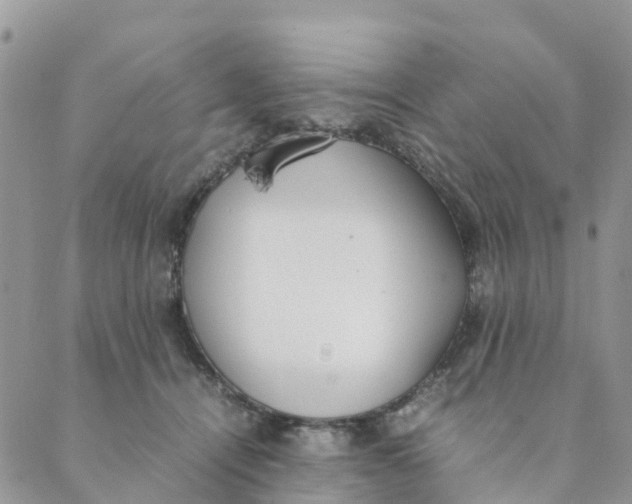 X0000089360464200707061054