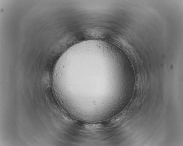 X0000089360465200707061054