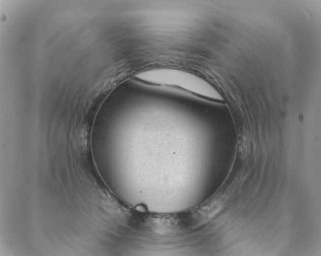 X0000089360466200707061054