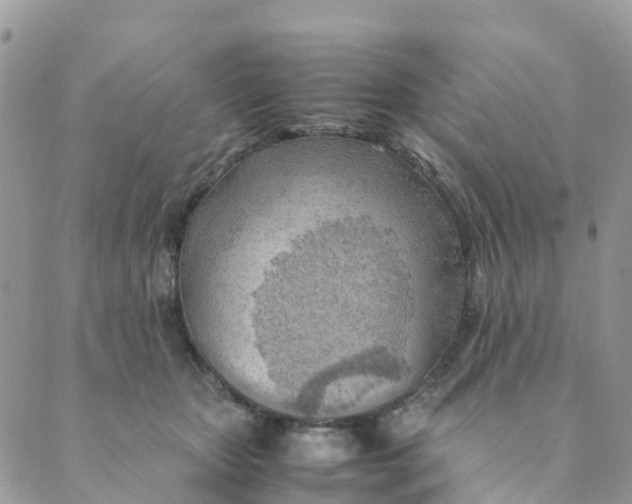 X0000089360467200707061054