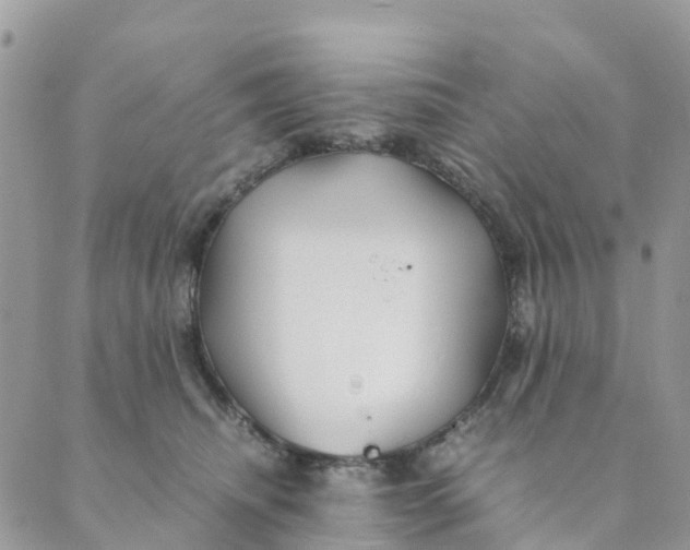 X0000089360468200707061054