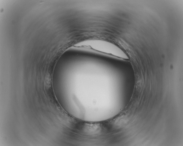 X0000089360469200707061054