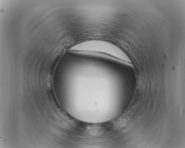 X0000089360470200707061054