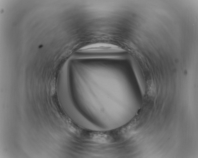 X0000089360471200707061054