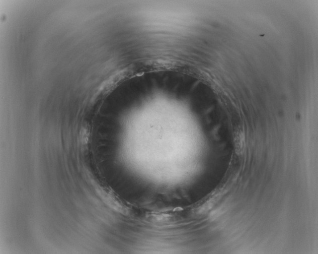 X0000089360472200707061054