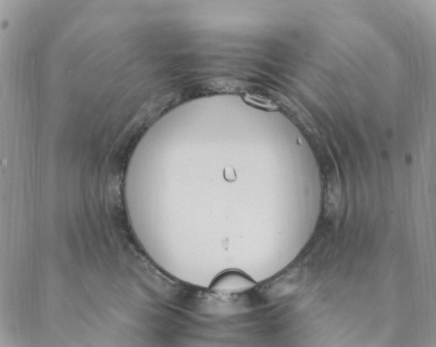 X0000089360473200707061054