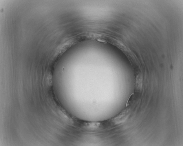 X0000089360474200707061054