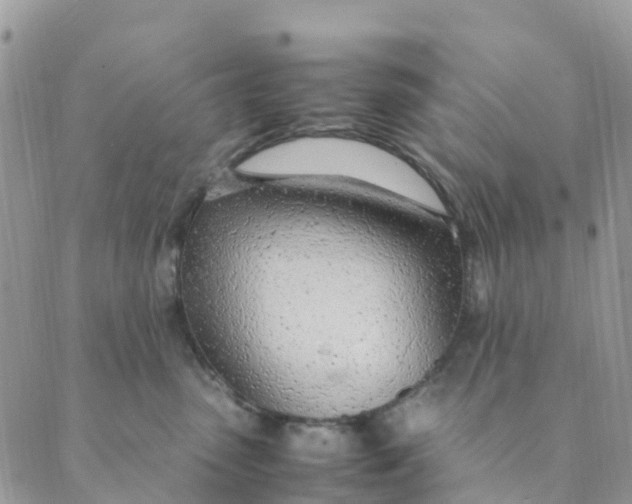 X0000089360475200707061054