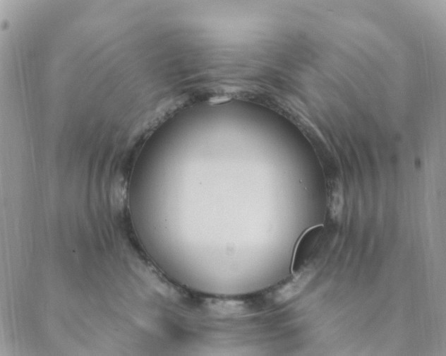 X0000089360476200707061054