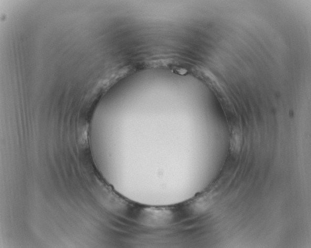 X0000089360477200707061054