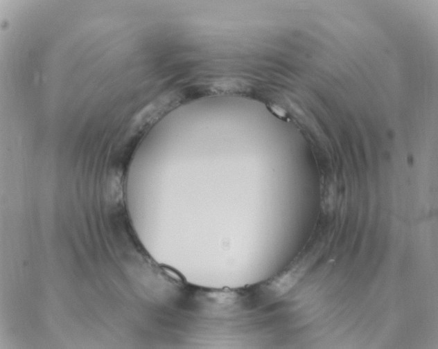 X0000089360478200707061054