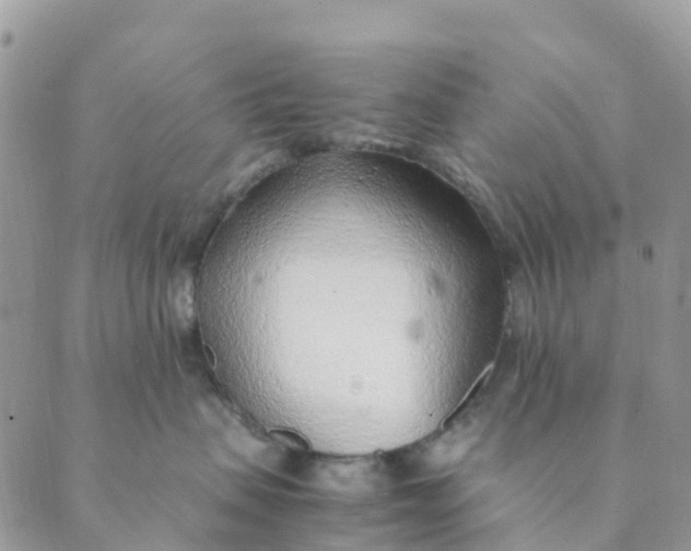 X0000089360479200707061054