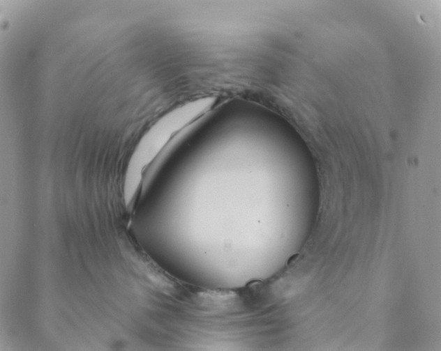 X0000089360480200707061054