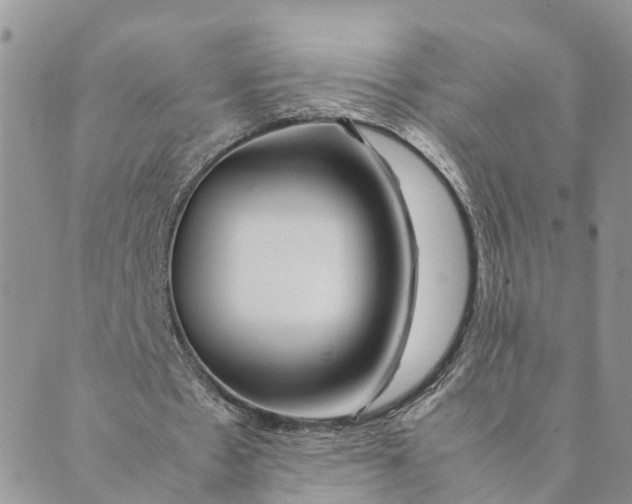 X0000089360481200707061053