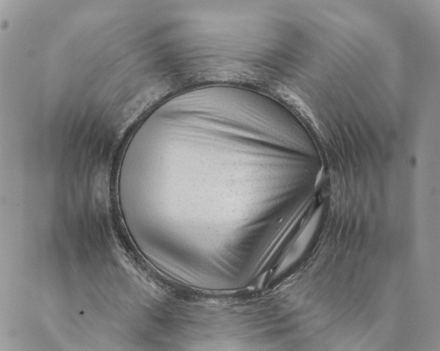 X0000089360482200707061053