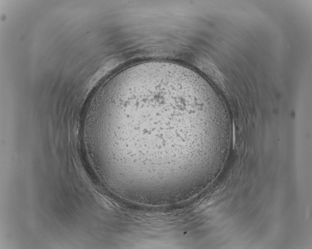 X0000089360483200707061053