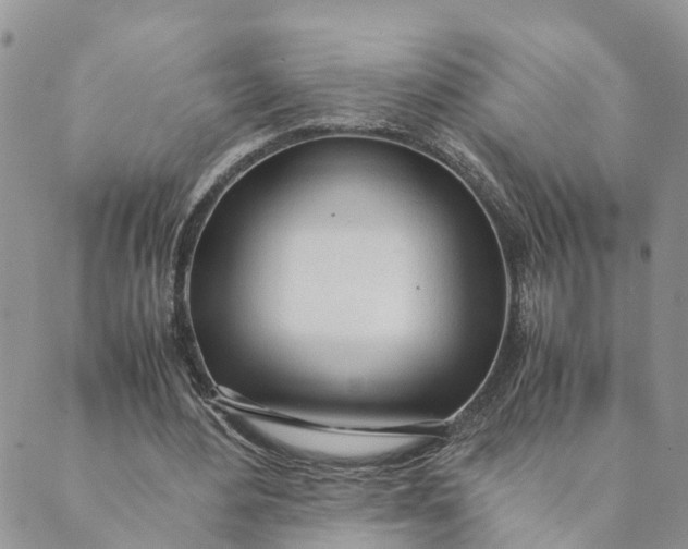 X0000089360484200707061053